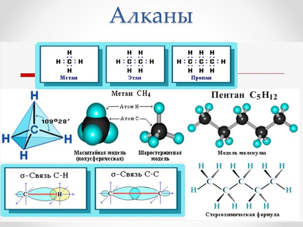 Тип химических связей между атомами углерода. Алканы строение молекулы. Молекулы и структуры алканы. Алканы пространственное строение молекулы. Строение молекул алканов.