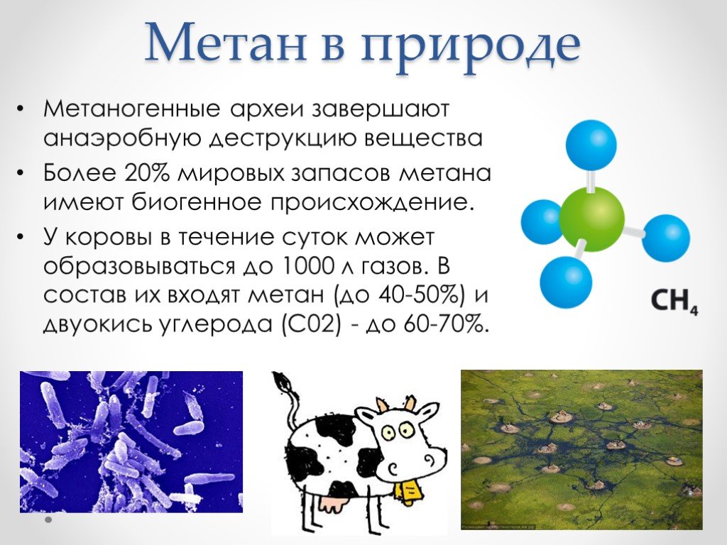 Состав вещества метана. Метан в природе. Метаногенные архебактерии. Метаногенные археи. Появление метана в природе.
