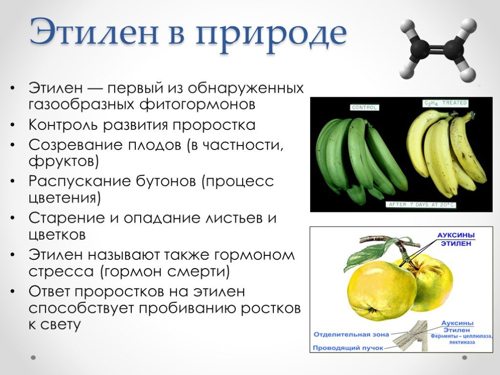 Газообразный этилен. Этилен фитогормон растений. Этилен фитогормон функции. Этилен для созревания плодов. Этилен.
