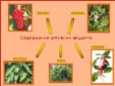 Содержание активных веществ: Плоды Семена Кора Стебли Листья