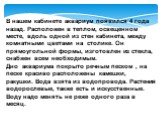 В нашем кабинете аквариум появился 4 года назад. Расположен в теплом, освещенном месте, вдоль одной из стен кабинета, между комнатными цветами на столике. Он прямоугольной формы, изготовлен из стекла, снабжен всем необходимым. Дно аквариума покрыто речным песком , на песке красиво расположены камешк