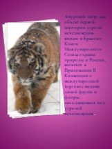 Амурский тигр, как объект первой категории угрозы исчезновения- внесен в Красные Книги Международного Союза охраны природы и России, включен в Приложение II Конвенции о международной торговле видами дикой фауны и флоры, находящимися под угрозой исчезновения .