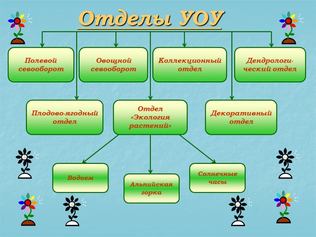 Многообразие растений 5 класс биология. Отделы в биологии. Проект многообразие растений 5 класс. Разнообразие растений 5 класс биология презентация.