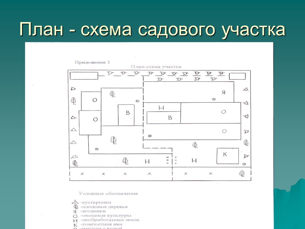 План схема текста это