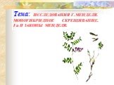 Тема: ИССЛЕДОВАНИЯ Г.МЕНДЕЛЯ. МОНОГИБРИДНОЕ СКРЕЩИВАНИЕ. I и II ЗАКОНЫ МЕНДЕЛЯ.