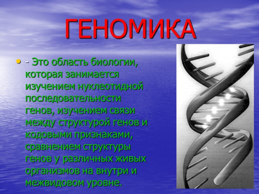 Геномика. Ген,геном. Геномика. Геномика это в биологии. Презентация на тему геномика.