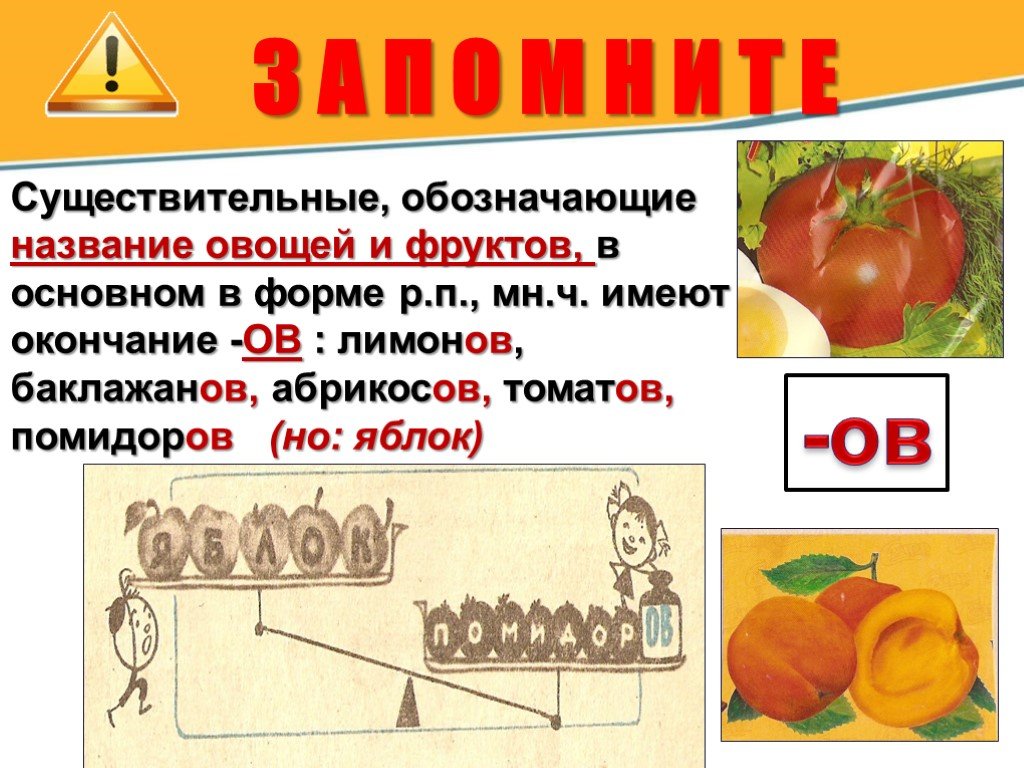 Какое окончание в слове помидор. Абрикосов помидоров правило. Помидоры в р.п множественного числа. Название овощей и фруктов в р.п мн.ч. Помидор р п мн ч.