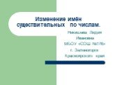 Никишева Лидия Ивановна МБОУ «СОШ №176» г. Зеленогорск Красноярского края. Изменение имён существительных по числам.