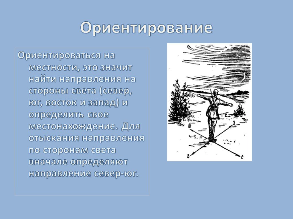 Презентация ориентирование. Ориентирование на местности. Ориентирование по местности. Порядок ориентирования на местности. Ориентирование на местности по птицам.