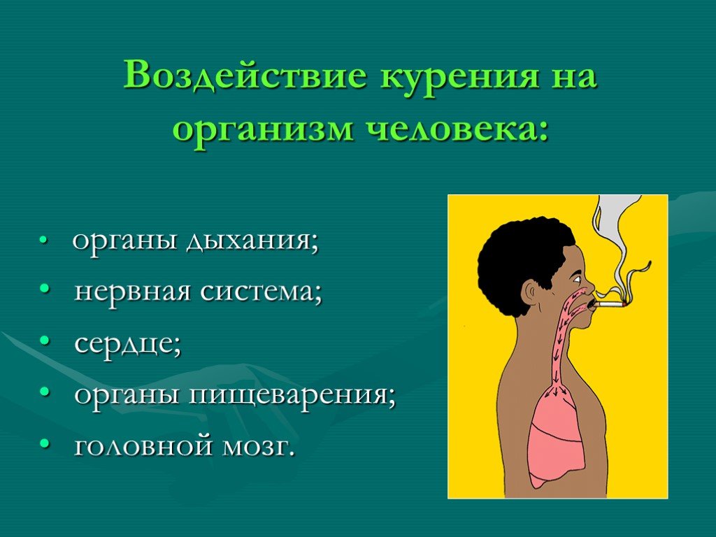 Влияние курения на человека. Влияние курения на организм человека. Воздействие курения на организм человека.