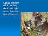 Koalas seldom drink, as they obtain enough water from the diet of leaves.