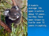 A koala’s average life span in wild is about 12 years , but they have been known to live for over 15 years in captivity.