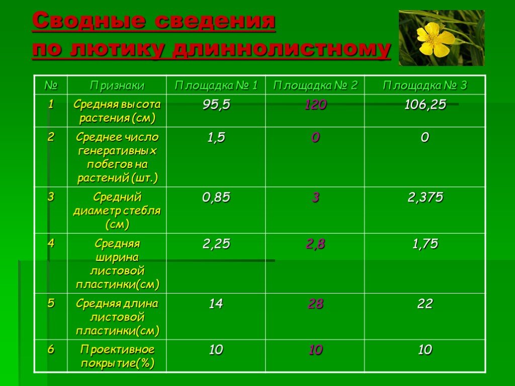 Итоговая информация