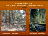 Изучение новой темы Доклад « Примеры биохимического взаимовлияния древесных растений». Внутривидовая конкуренция Межвидовая конкуренция