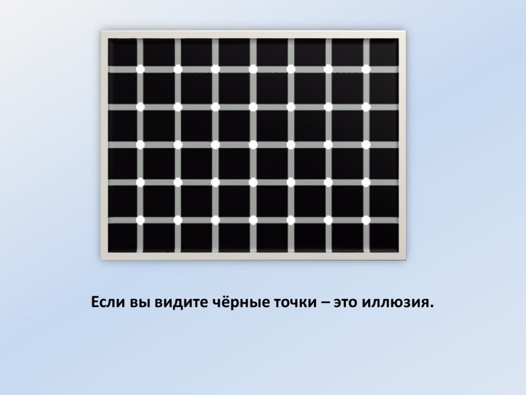 Не будет видно черной. Иллюзия с черными точками. Иллюзия 12 черных точек. Иллюзия сколько чёрных точек. Двенадцать точек иллюзия.