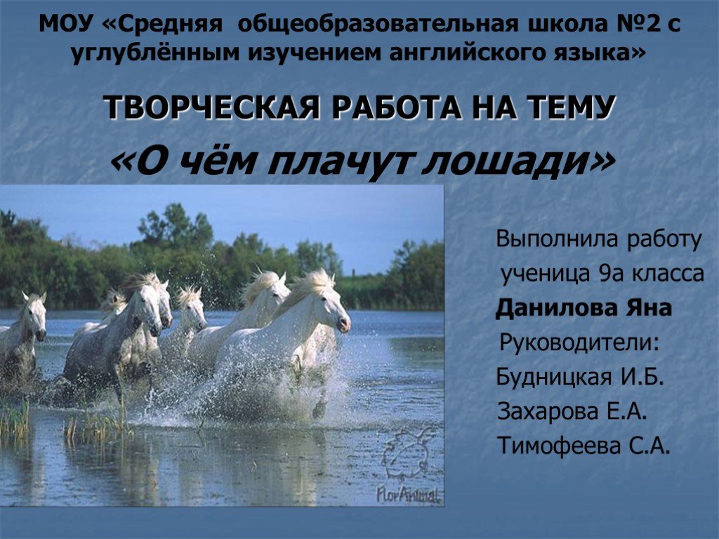 О чем плачут лошади что понравилось. Презентация на тему о чем плачут лошади. Творческая работа о чем плачут лошади. О чем плачут лошади экологические проблемы. Составить план к рассказу о чем плачут лошади.