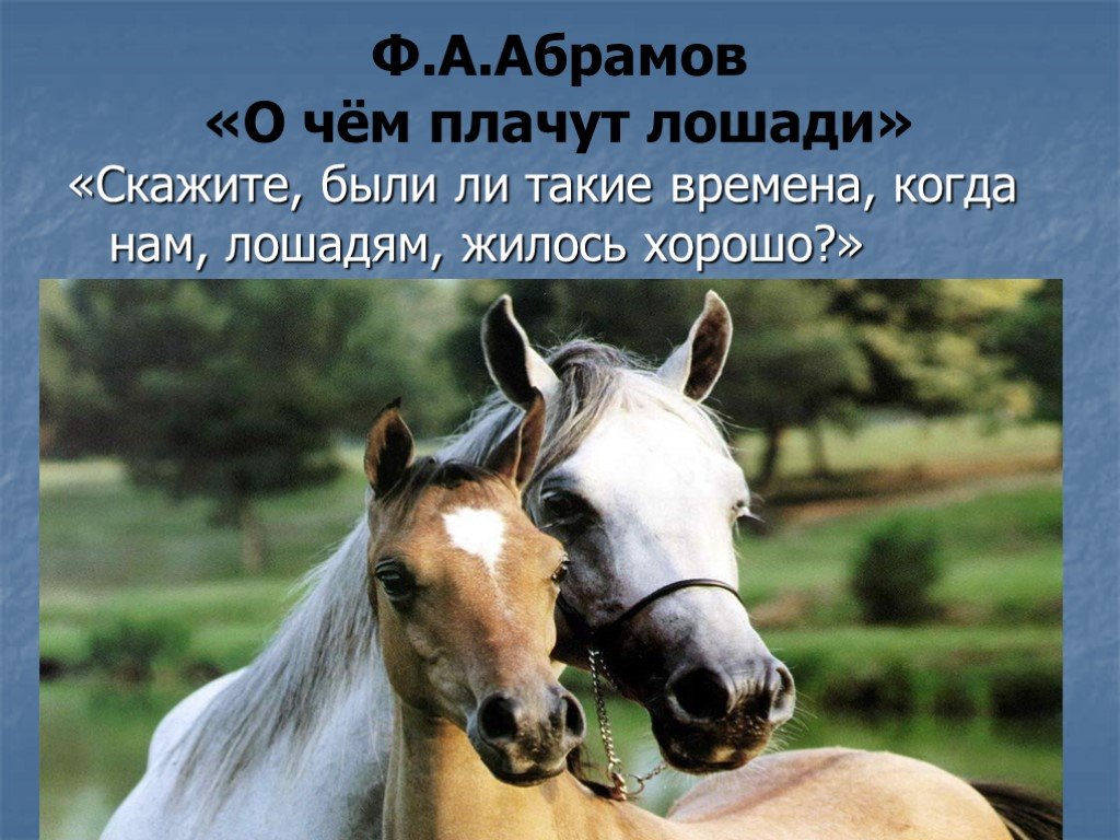 Абрамов о чем плачут лошади конспект урока 7 класс презентация