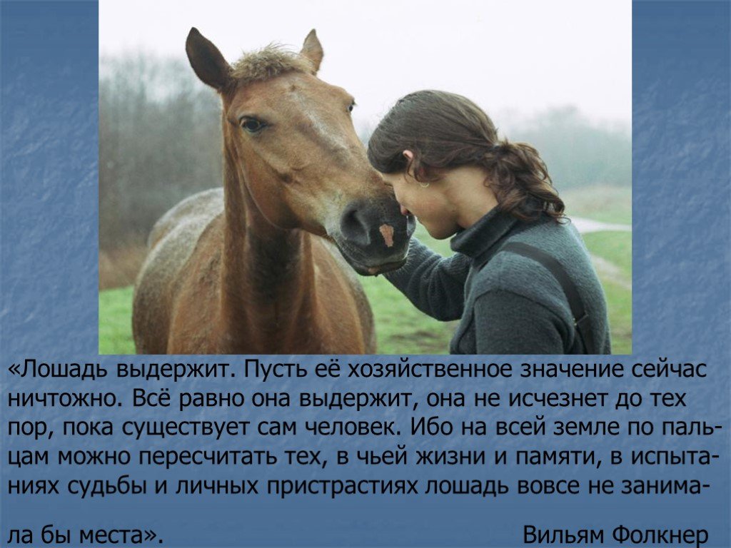 Почему именно конь. Красивые истории о лошадях. Стихи про коня красивые. Цитаты про лошадей. Стихи про лошадей красивые.