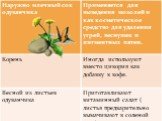 Лекарственные растения Слайд: 23