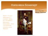 Давид Жак Луи Портрет Наполеона. Далее в его пути наблюдаются в основном победы – над австрийцами, британцами, итальянцами. Всем этим руководил непосредственно Наполеон