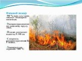 Низовой пожар. 90 % всех случаев лесных пожаров – низовые. Распространяются по нижнему ярусу леса. Пламя достигает высоты 5-50 см. Скорость распространения 0,5-3 м/мин. Температура горения 700 °C