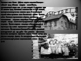 Освенцим: самая большая фабрика смерти нацистов Освенцим - небольшой город в Бельском воеводстве на юге Польши, насчитывающий сегодня около 50 тыс. жителей. К двадцатым годам ХХ столетия город насчитывал немногим более 10 тыс. жителей, примерно половину из них составляли евреи. В начале второй миров