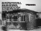 Лагерь смерти Треблинка, расположенный к востоку от Варшавы, начал свою работу 22 июля 1942 года. Менее чем за два года в газовых камерах Треблинки было уничтожено свыше 850 000 евреев, большинство заключенных умерщвляли сразу же после прибытия в лагерь. Как и в других нацистских лагерях смерти, зак