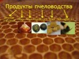 Продукты пчеловодства. Пыльца пчелиная Перга Прополис Воск Пчелиный яд Мед