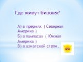 Где живут бизоны? А) в прериях ( Северная Америка ) Б) в пампасах ( Южная Америка ) В) в азиатской степи.