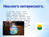 Немного интересного. Из всех видов игрушек, мягкая игрушка — самая поздняя. Мягкие игрушки прототипы различных животных, которые заботливые мамы шили своим чадам из лоскутков ткани, набивали ватой, украшали, используя различные навыки рукоделия, вязание и вышивку, появились в XIX веке. В конце XIX в