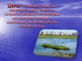 Цель: Проведение анализа акватории озера Мылки по условиям обитания ихтиофауны, её видовому составу и некоторым характеристикам гидробионтов.