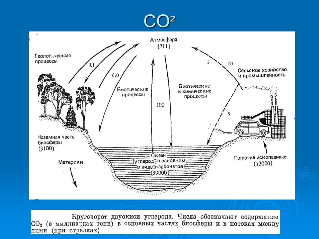 Процессы в сельской