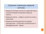 Уровни организации живой системы Слайд: 12