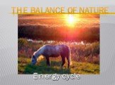 Energy cycle