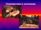 Невежество и нигилизм