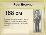 Рост Есенина 168 см. Потолки в «Англетере» 3 метра 30 см, а трубы располагались непосредственно под потолком номера…