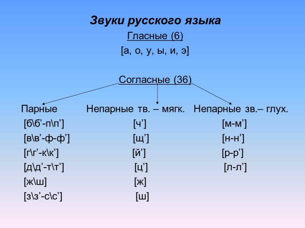 Презентация по русскому языку 6 класс фонетика