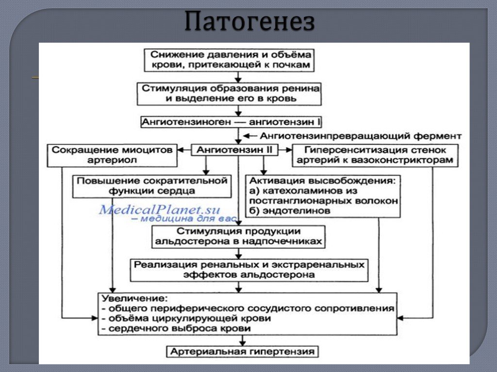 Артериальная гипертензия этиология. Нефрогенная артериальная гипертензия патогенез. Механизм повышения артериального давления при патологии почек. Механизм повышения ад при почечных заболеваниях. Механизм развития реноваскулярной артериальной гипертензии.