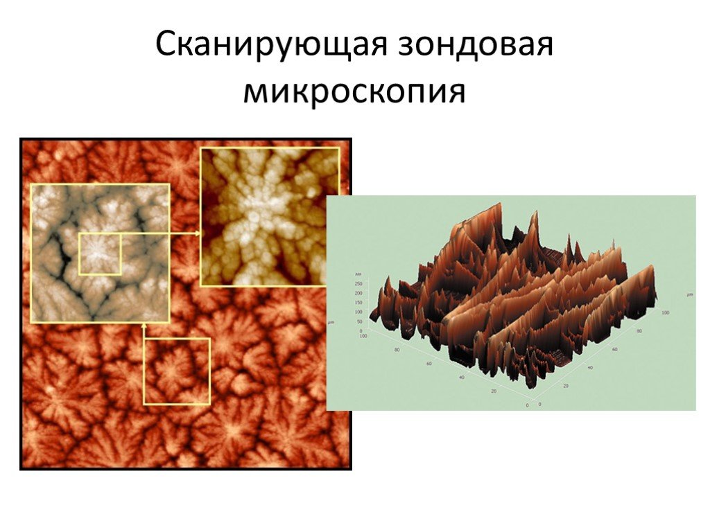 Сканирующая зондовая микроскопия фото