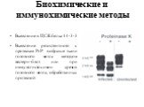 Биохимические и иммунохимические методы. Выявление в ЦСЖ белка 14-3-3 Выявление резистентного к протеазам PrP в образце ткани головного мозга методом вестерн-блот или при иммуногистохимии срезов головного мозга, обработанных протеазой