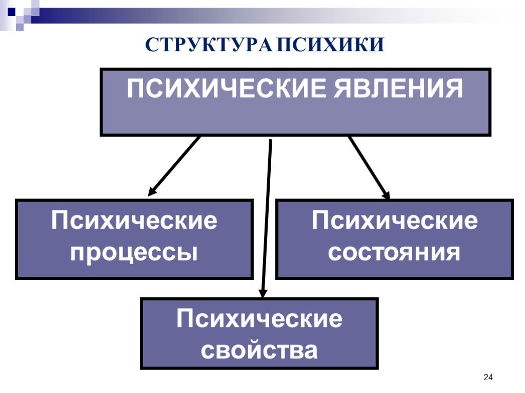 Структура психического состояния. Структура психики. Структура психических явлений. Структура психических процессов. Психические явления процессы состояния свойства презентация.