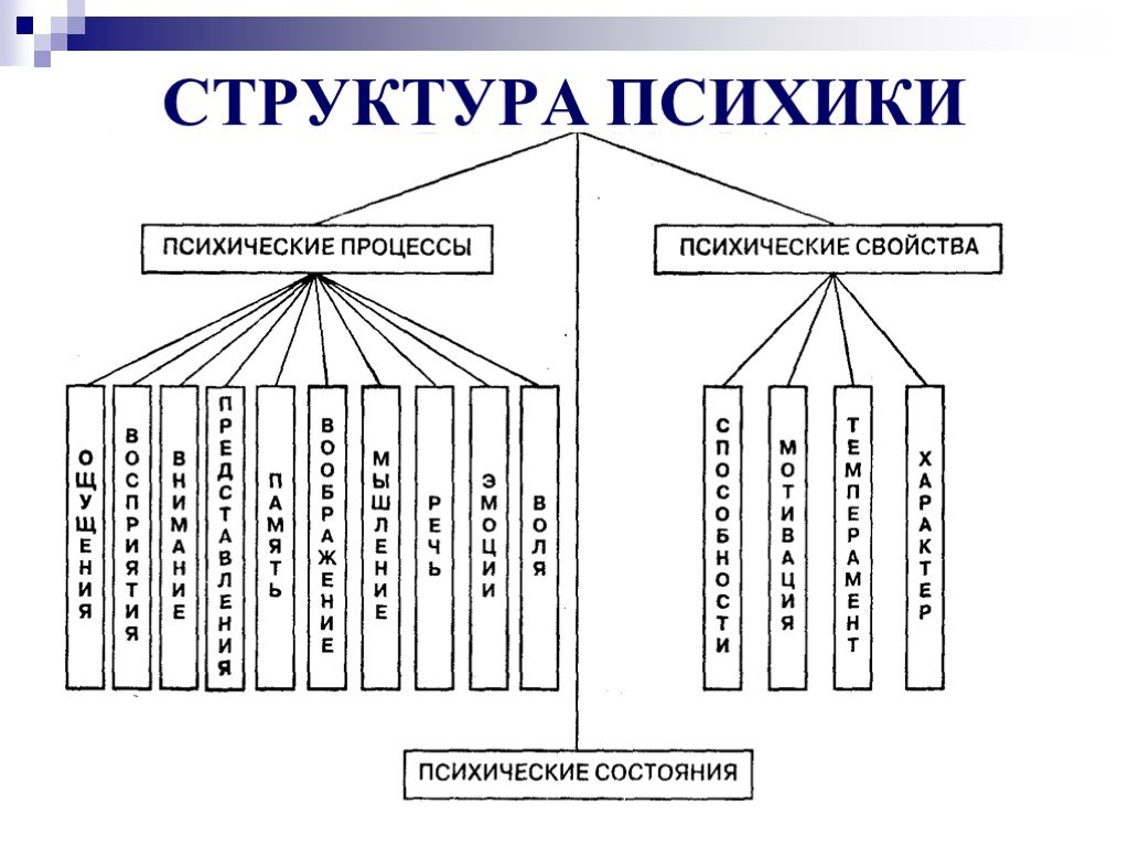 Схема психологические процессы свойства и состояния