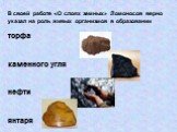 В своей работе «О слоях земных» Ломоносов верно указал на роль живых организмов в образовании торфа каменного угля нефти янтаря