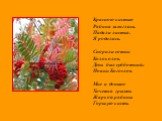 Красною кистью Рябина зажглась. Падали листья. Я родилась. Спорили сотни Колоколов. День был субботний: Иоанн Богослов. Мне и доныне Хочется грызть Жаркой рябины Горькую кисть.