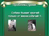 Проблема урока: Собака бывает кусачей только от жизни собачей ?..