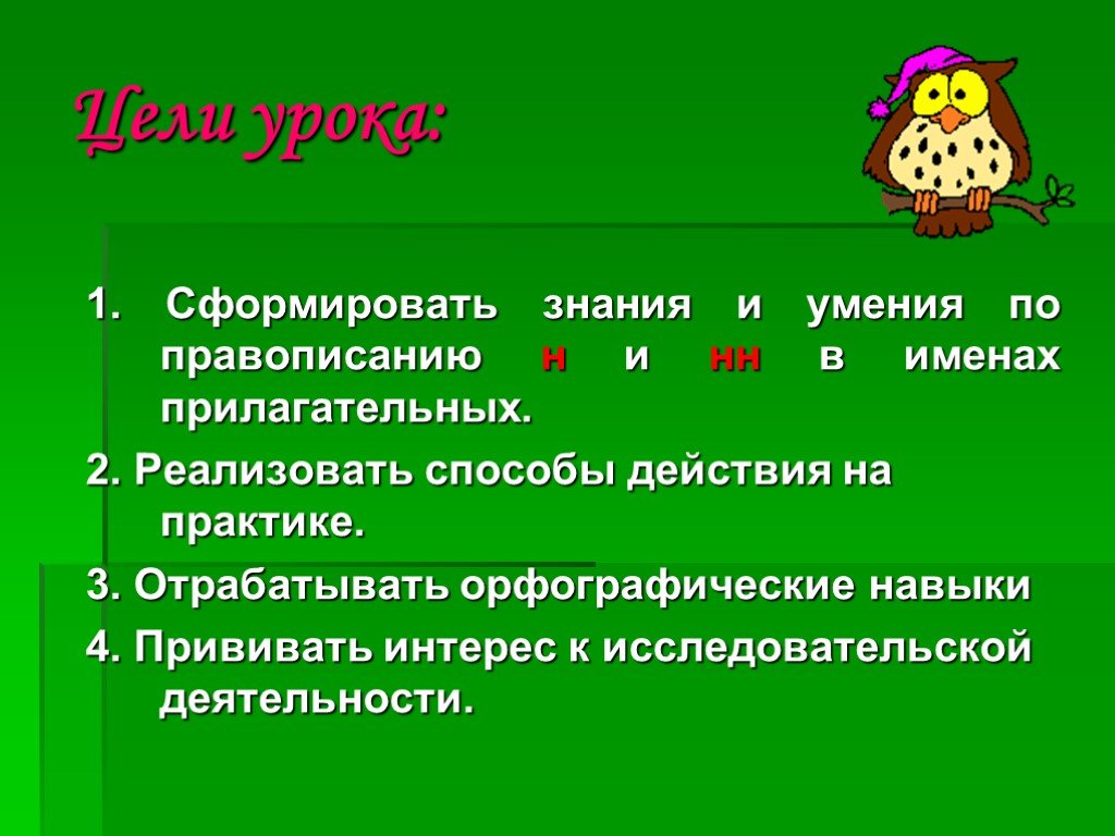 Орфографические знания. Презентация на тему правописание н и НН В именах прилагательных.