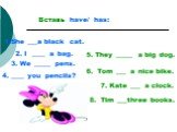 Вставь have/ has: She ___a black cat. 2. I ____ a bag. 3. We _____ pens. 4. ____ you pencils? 5. They _____ a big dog. 6. Tom ___ a nice bike. 7. Kate ___ a clock. 8. Tim ___three books.
