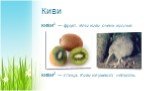 Киви. КИВИ1 — фрукт. Эти киви очень кислые. КИВИ2 — птица. Киви не умеют летать.