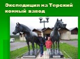 Экспедиция на Терский конный завод