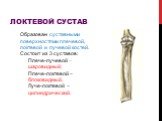 Локтевой сустав. Образован суставными поверхностями плечевой, локтевой и лучевой костей. Состоит из 3 суставов: Плече-лучевой – шаровидный; Плече-локтевой – блоковидный, Луче-локтевой – цилиндрический.